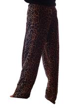 CheetahBack.jpg
