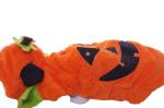  Pumpkin.JPG