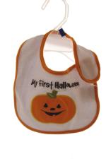 OrangeHallo.JPG