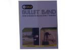 Bullet3.jpg